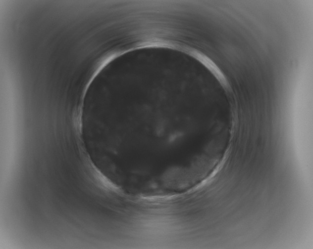 X0000114191244200910091226