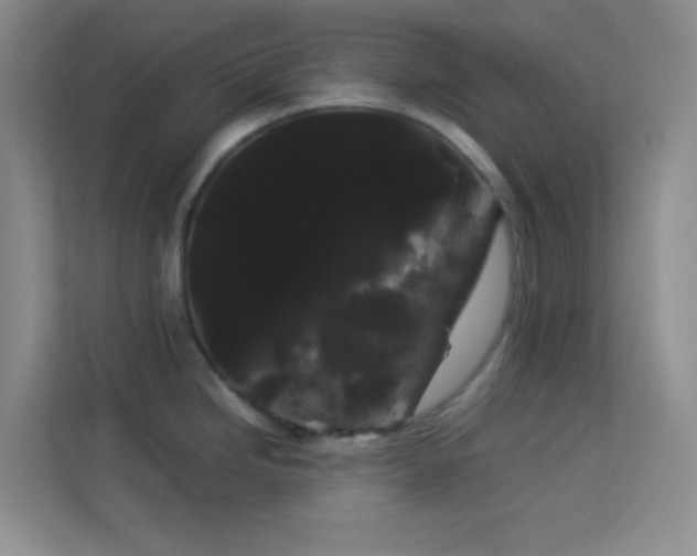 X0000114191246200910091226