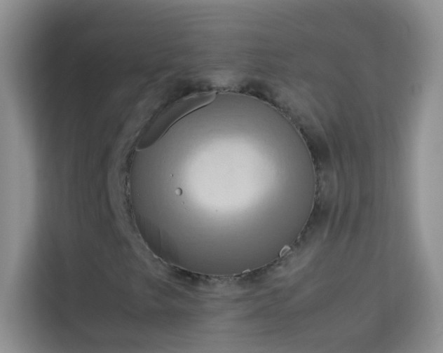 X0000114191249200910091225