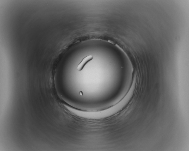 X0000114191252200910091225