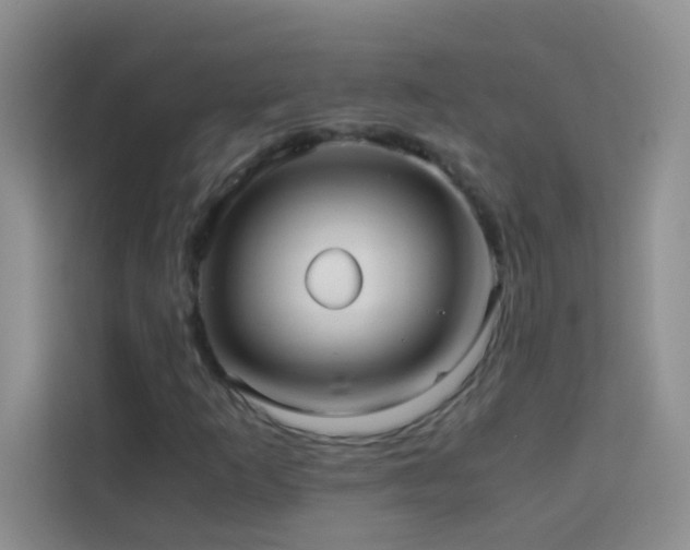 X0000114191253200910091225