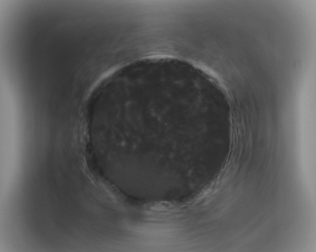 X0000114191255200910091225