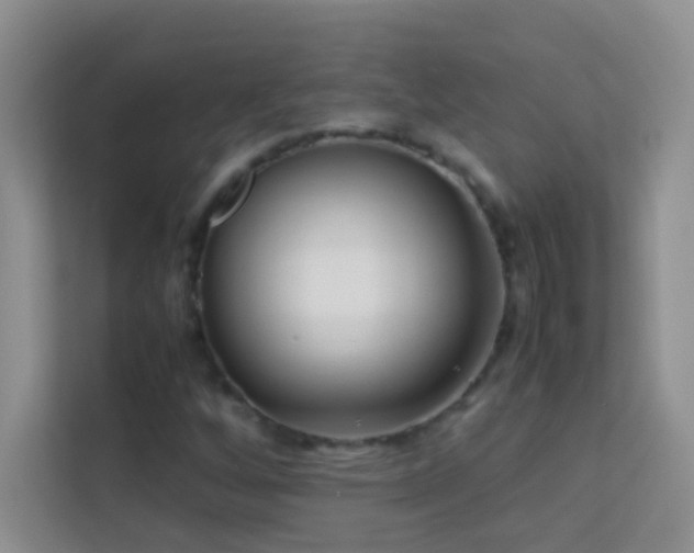 X0000114191256200910091225
