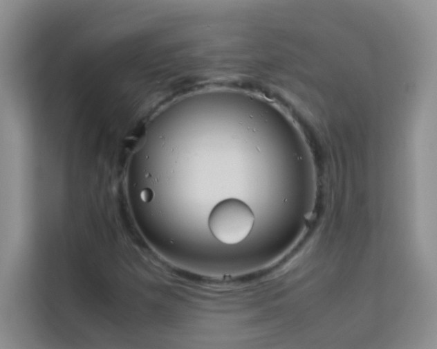 X0000114191257200910091225