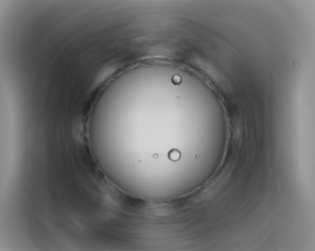 X0000114191258200910091225