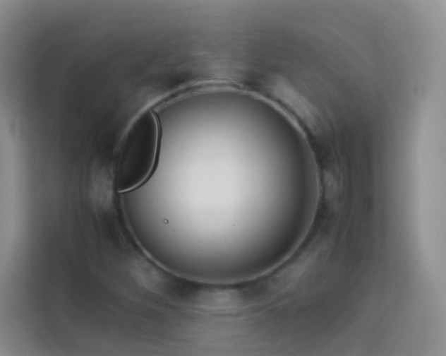 X0000114191260200910091225