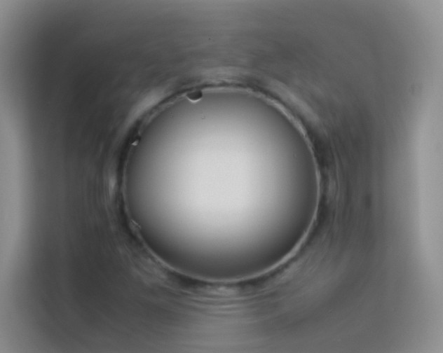 X0000114191261200910091225
