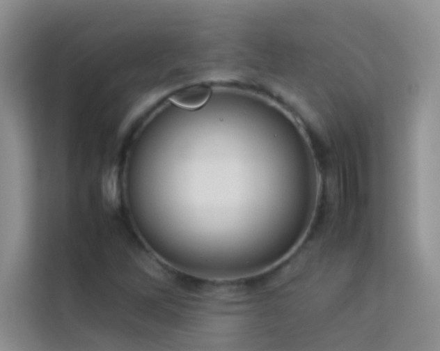 X0000114191262200910091225
