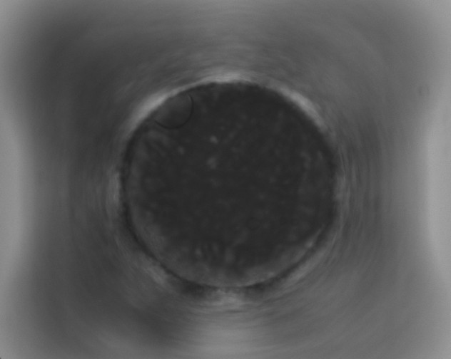 X0000114191263200910091225