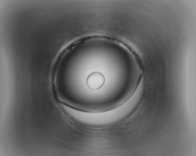 X0000114191264200910091225
