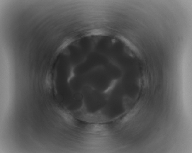 X0000114191266200910091225