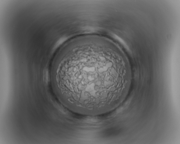 X0000114191267200910091225