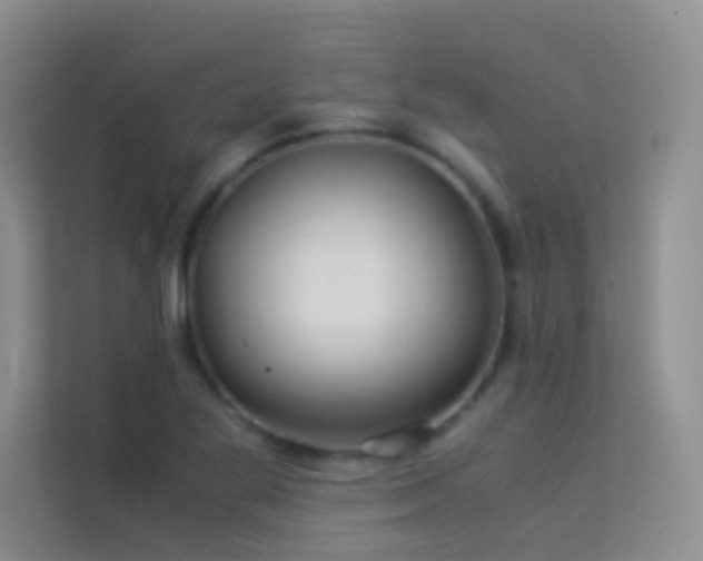 X0000114191269200910091225