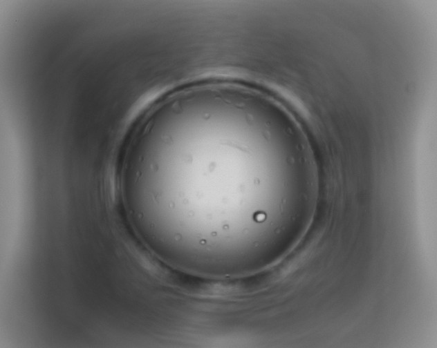 X0000114191271200910091225