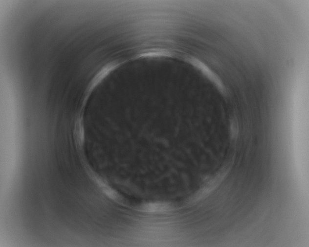 X0000114191274200910091225