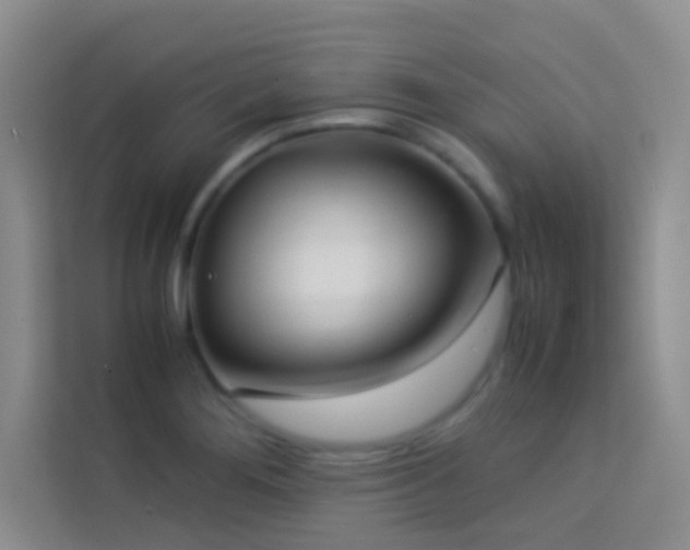 X0000114191276200910091225