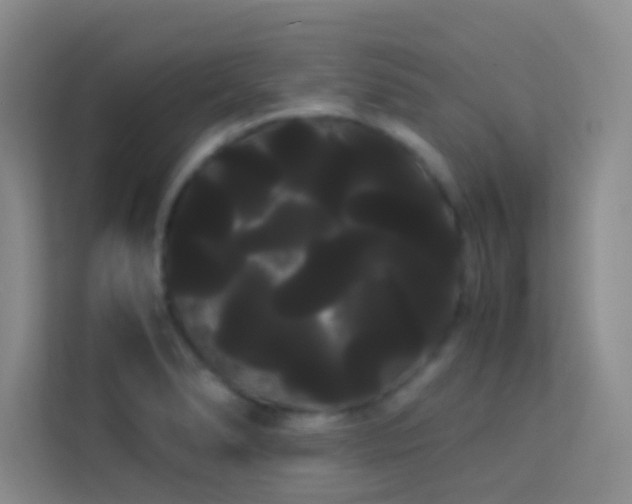 X0000114191278200910091224
