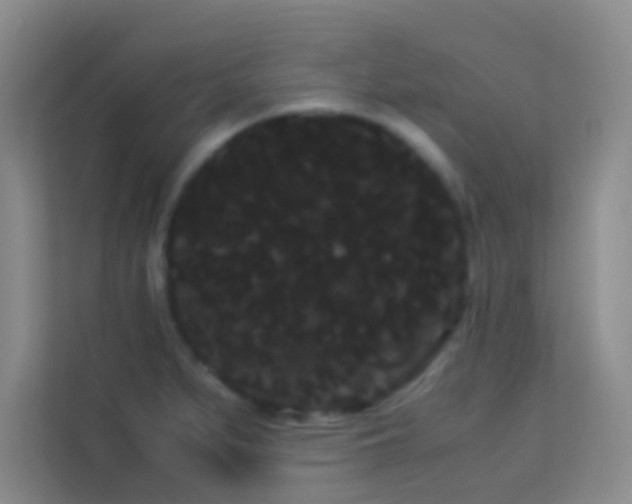 X0000114191279200910091224