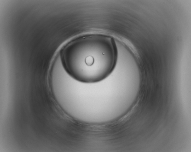 X0000114191280200910091224