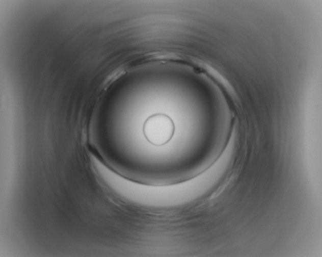 X0000114191281200910091224