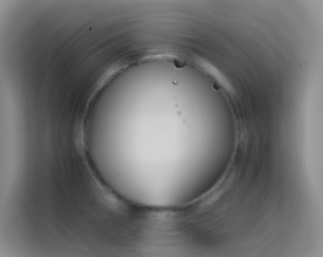 X0000114191282200910091224