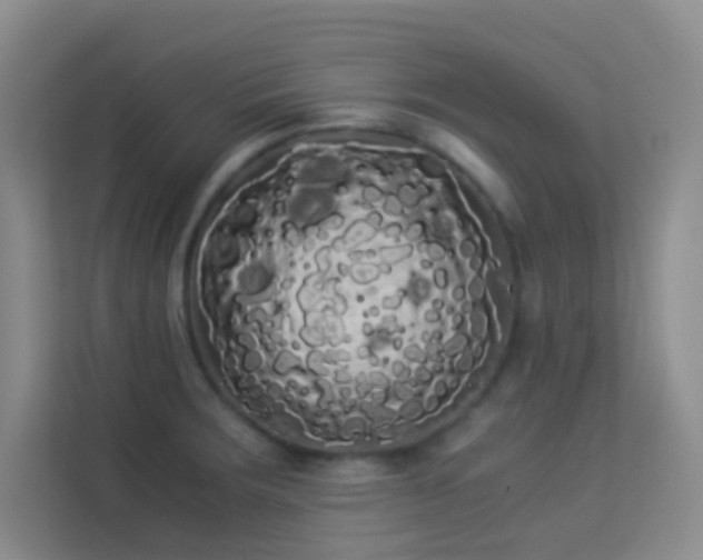 X0000114191283200910091224