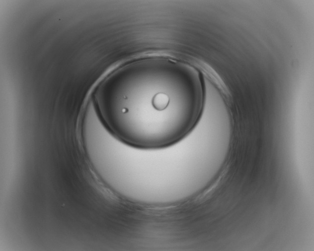 X0000114191284200910091224