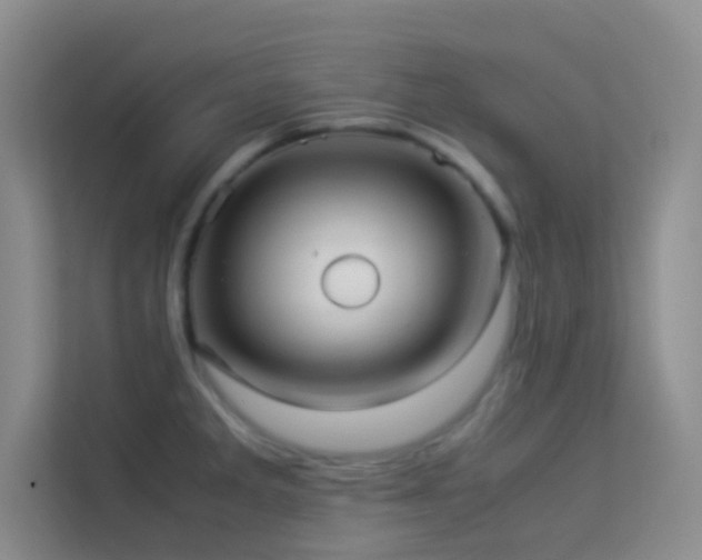 X0000114191285200910091224