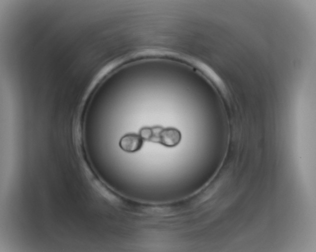 X0000114191287200910091224