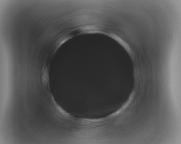 X0000114191289200910091224