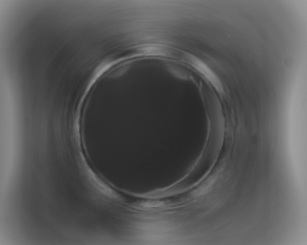 X0000114191291200910091224