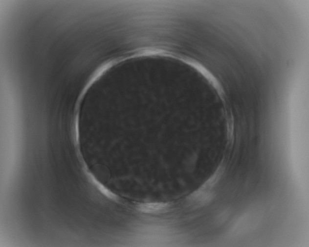 X0000114191294200910091224