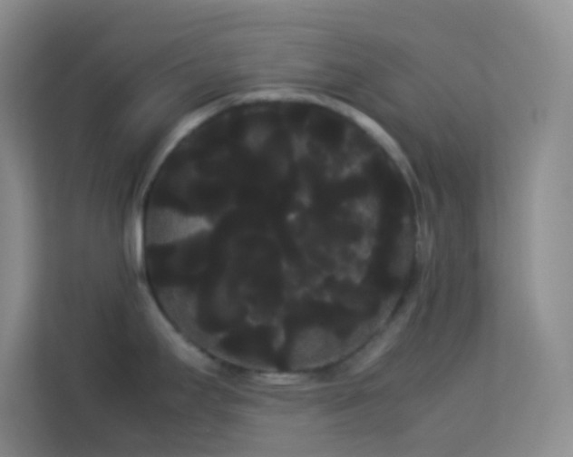 X0000114191295200910091224