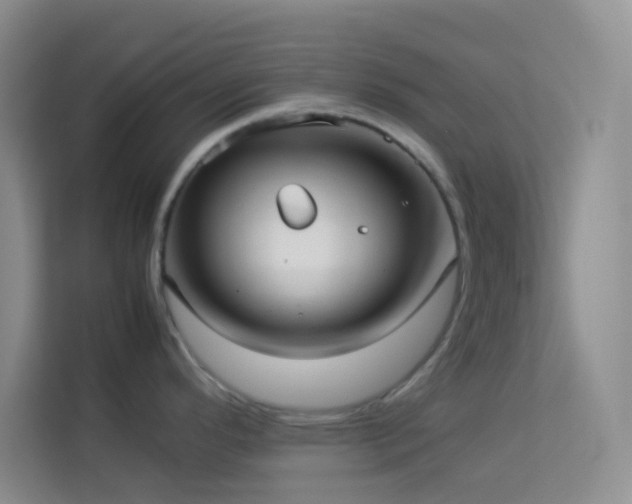 X0000114191296200910091224