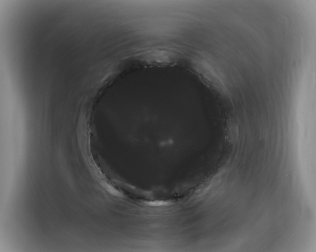 X0000114191297200910091224
