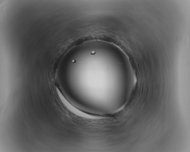 X0000114191298200910091224