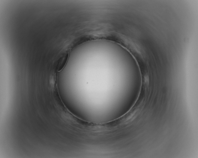 X0000114191300200910091224
