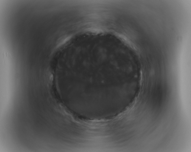 X0000114191302200910091224
