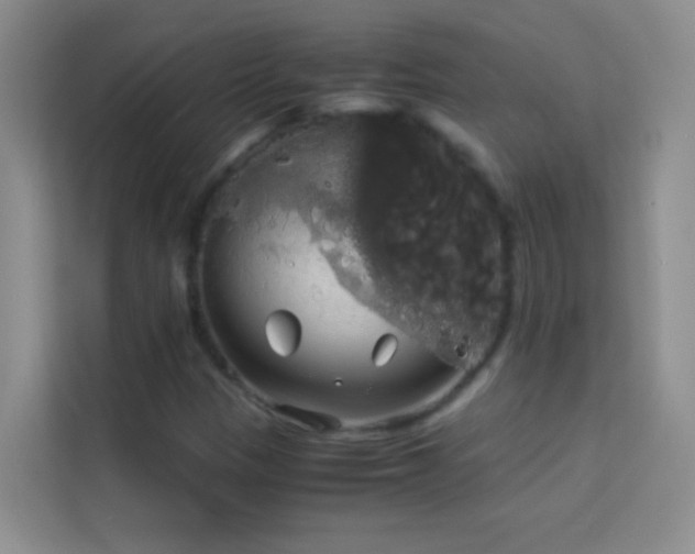 X0000114191305200910091224