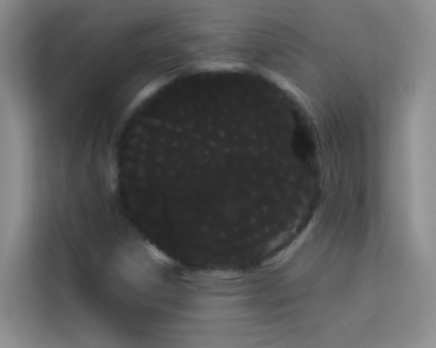 X0000114191306200910091224