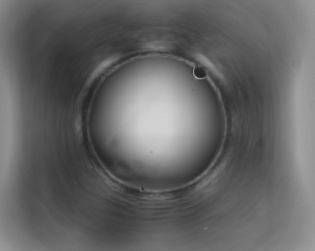 X0000114191307200910091224
