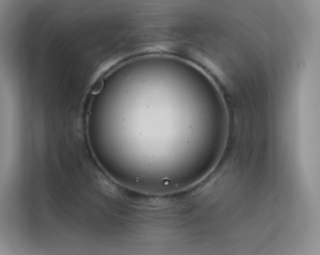 X0000114191308200910091224