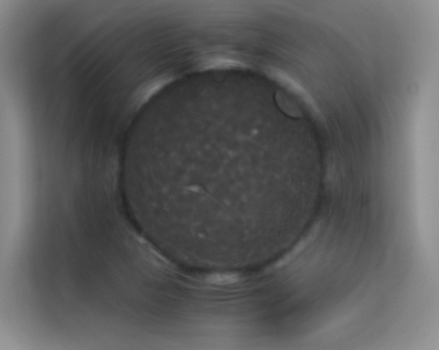 X0000114191313200910091224