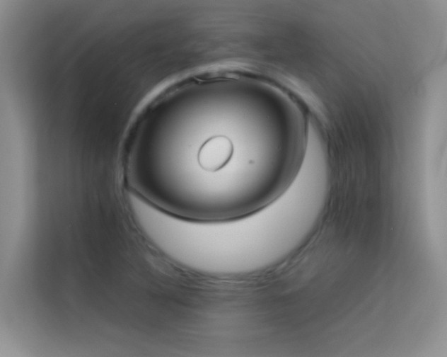 X0000114191316200910091224