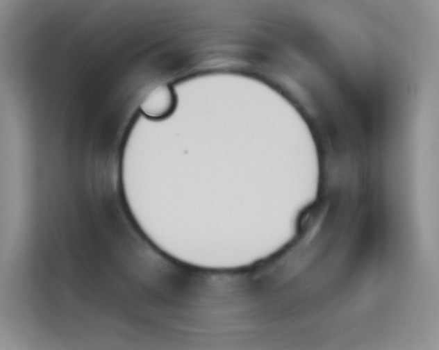 X0000114191322200910091224