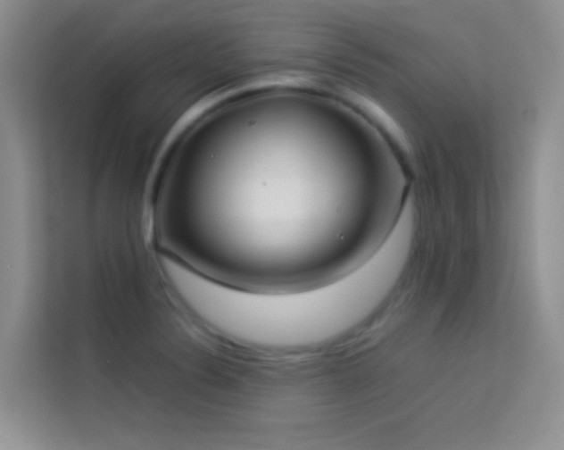 X0000114191324200910091224