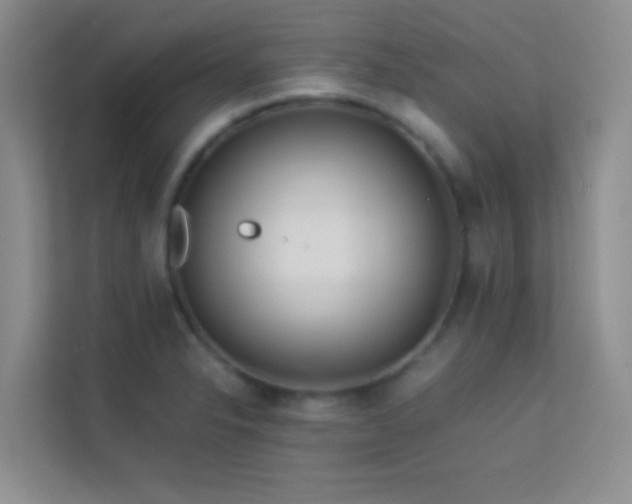 X0000114191326200910091224