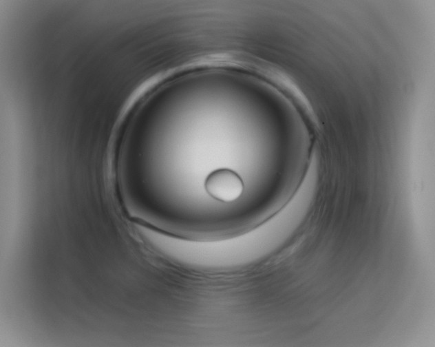 X0000114191328200910091224