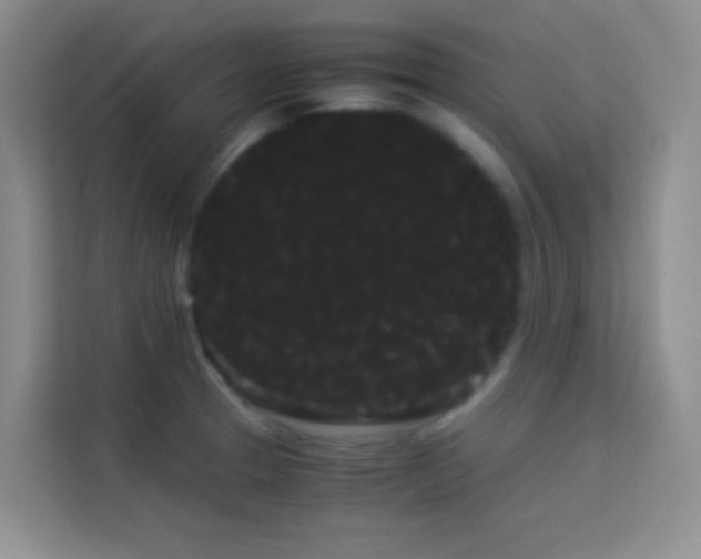 X0000114191329200910091224