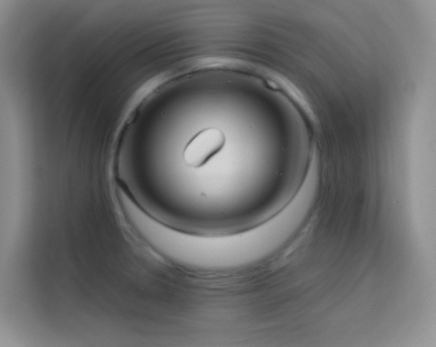 X0000114191330200910091224